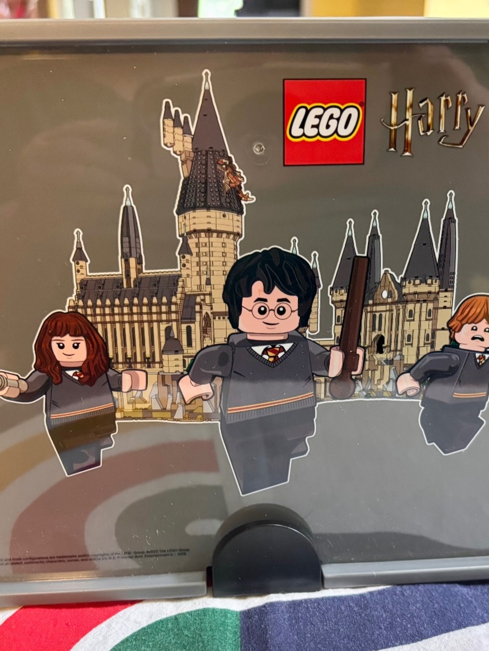 LEGO HARRY POTTER "Sorting/Storage Case" 5007887 UNUSED